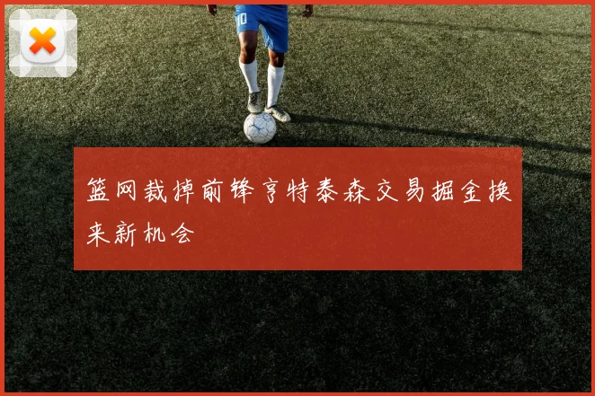 篮网裁掉前锋亨特泰森交易掘金换来新机会
