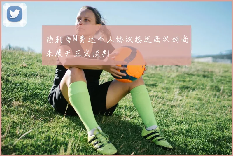 热刺与M费达个人协议接近西汉姆尚未展开正式谈判