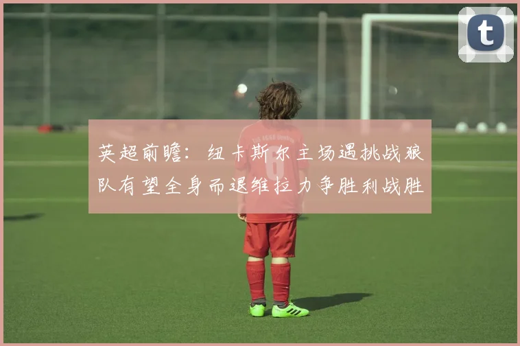 英超前瞻：纽卡斯尔主场遇挑战狼队有望全身而退维拉力争胜利战胜埃弗顿